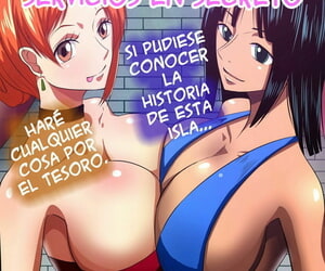 Q Doujin Onna Kaizoku ga Himitsu no Settai One Piece Spanish