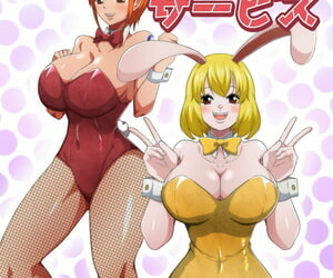 Q Doujin Bunny Service One Piece