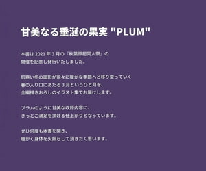 2021-03 Akihabara Chou Doujinsai Akihabara Choudoujinsai Kaisaikinenshi Melonbooks Girls Assemblage Plum