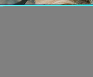 القلي جبهة تحرير مورو الإسلامية راشيل كافالي شرائح و يظهر قبالة على فرشاة كبير حضن و الحمار