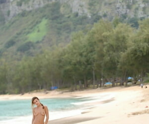 Glamorous amateur vixen Andrea exposing their way sexy making on a Hawaiian careen