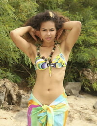 Ebony babe Sara Nicole exposing tiny teen tits on beach during glam spread