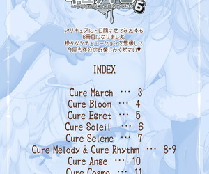 Wire Cay Miyanoyuki Medicine Toro! 6 ~PreCure ni Torogao Sasete Mita~ PreCure Circa Stars Digital