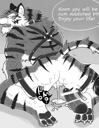 A muscular tiger cuntboy by urakata5x