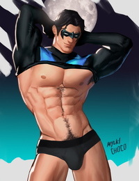 Nightwing/Dick Grayson - part 4