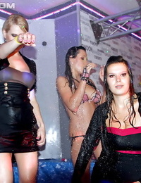Atraente Europeu mulheres chegando clammy e erótica dança e o bêbado todos juntos