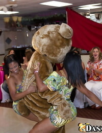 الرقص الدب هو راض لطيف :بواسطة: جائع السيدات على A البرية كل معا