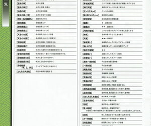 ALICESOFT Sengoku Rance Manual - accoutrement 2