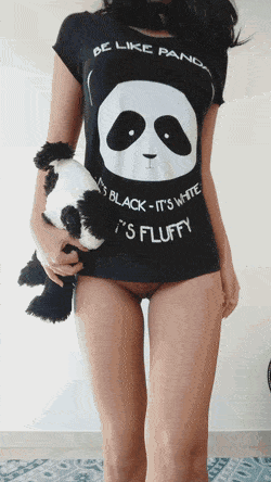The best panda