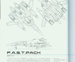 Fickle Toughie Authority Pass round VF-25 Messiah - part 4