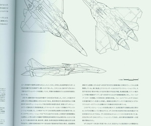 Variable Fighter Old hand File VF-25 Messiah
