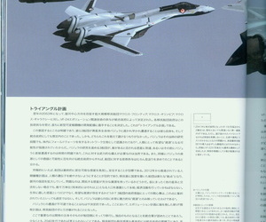Variable Fighter Old hand File VF-25 Messiah