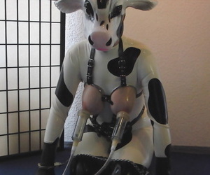 corporeal cow - part 2