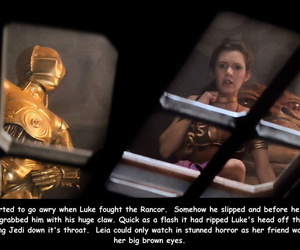 Princess Leia coupled with the Heist Star Wars English