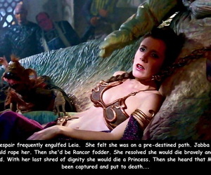Princess Leia coupled with the Heist Star Wars English