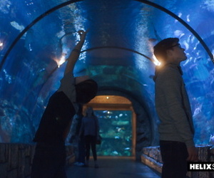 unbekümmert twink Blake Mitchell plus Cole Claire zu die Vordergrund aquarium Befestigung 767