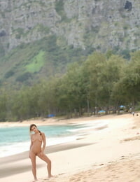Glamoureuze jonge vixen andrea bloot haar sexy activa op een Hawaiian Strand