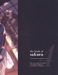 C97 Kodoku intelligence Nanao THE BOOK OF SAKURA 4 Fate/stay night Chinese 兔司姬漢化組