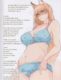 C94 Kodomo Beer Yukibuster Z JUNE BRIDE Maternity Photo Book korean
