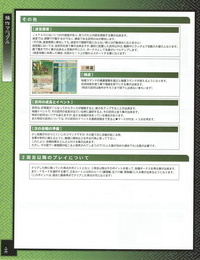 ALICESOFT Sengoku Rance Manual