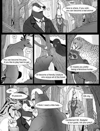 The Kingdom Of Wishes 1 - Mr Badgers Taâ€¦