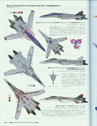 Variable Fighter Tormentor File VF-25 Messiah - part 7