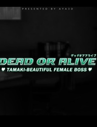 AYA3D 環 — 能幹的女上司 Dead or Alive Chinese