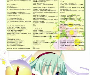 Lillian twinkle☆crusaders passie Sterren stream visual fanbook kannagi rei･kotamaru Onderdeel 6
