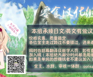 C70 GOLD RUSH Suzuki Address Thank you! Full Color Gundam SEED DESTINY Chinese 零食汉化组