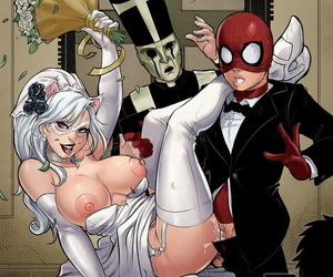 В венчание из паук Человек & черный Кошка